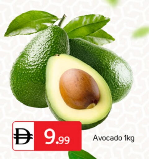 Avocado available at سوق طلال in الإمارات العربية المتحدة , الامارات - الشارقة / عجمان