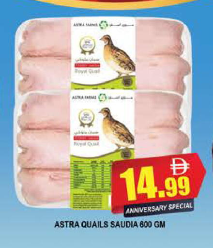 available at المدينة in الإمارات العربية المتحدة , الامارات - دبي