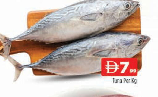 available at المدينة in الإمارات العربية المتحدة , الامارات - دبي