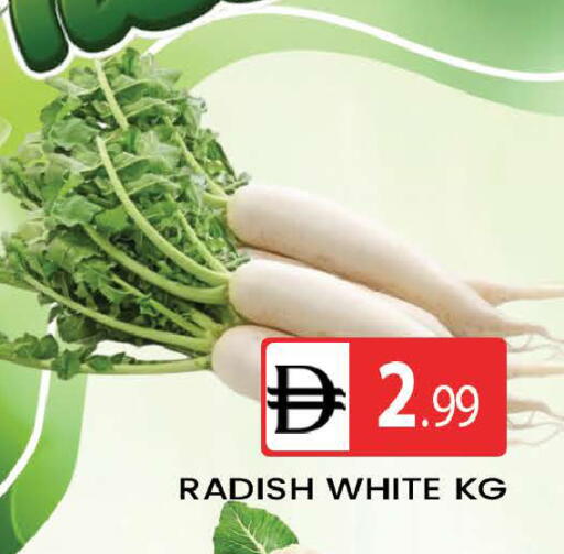 Radish available at المدينة in الإمارات العربية المتحدة , الامارات - دبي