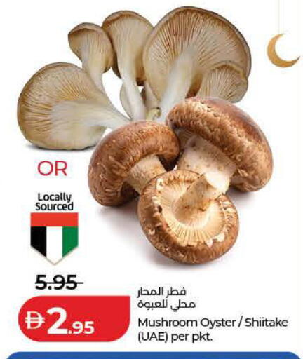Mushroom available at Lulu Hypermarket in UAE - Dubai