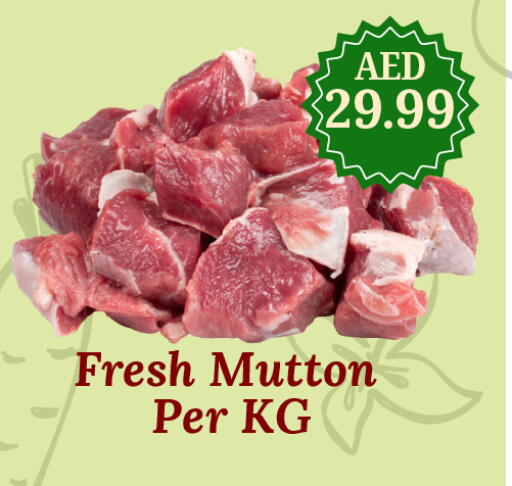 available at جي إس واي كاش آند كاري سوبرماركت in الإمارات العربية المتحدة , الامارات - دبي