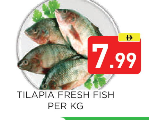 available at عين المدينة هايبرماركت in الإمارات العربية المتحدة , الامارات - الشارقة / عجمان