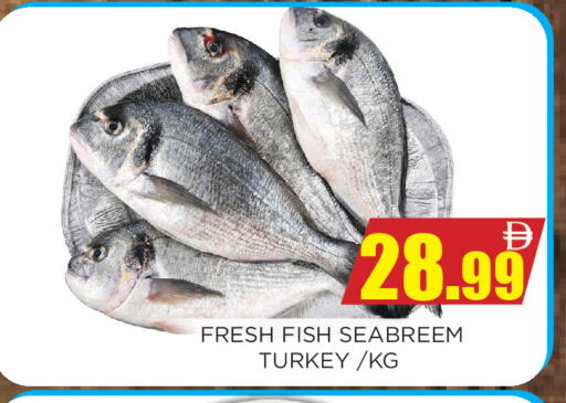 available at اينس المدينة هايبرماركت in الإمارات العربية المتحدة , الامارات - الشارقة / عجمان