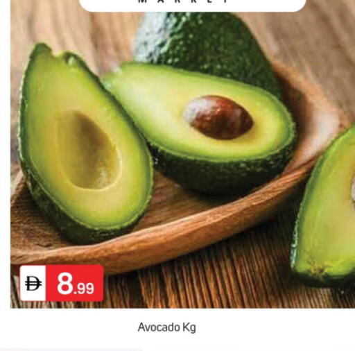 Avocado available at TALAL MARKET in UAE - Dubai