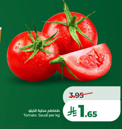 Tomato available at لولو هايبرماركت in مملكة العربية السعودية, السعودية, سعودية - الخبر‎