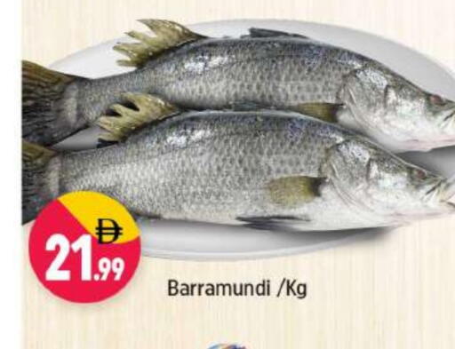 available at شكلان ماركت in الإمارات العربية المتحدة , الامارات - دبي