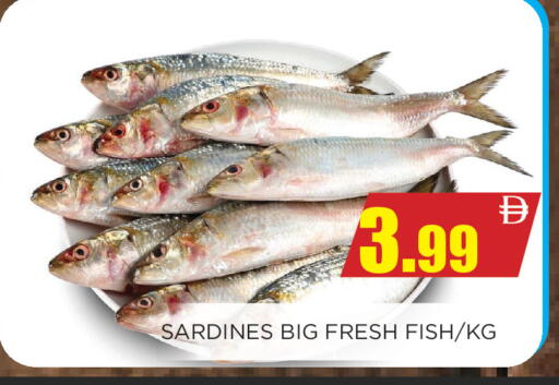 available at اينس المدينة هايبرماركت in الإمارات العربية المتحدة , الامارات - الشارقة / عجمان