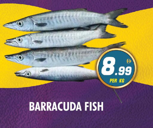 available at نايت تو نايت in الإمارات العربية المتحدة , الامارات - الشارقة / عجمان