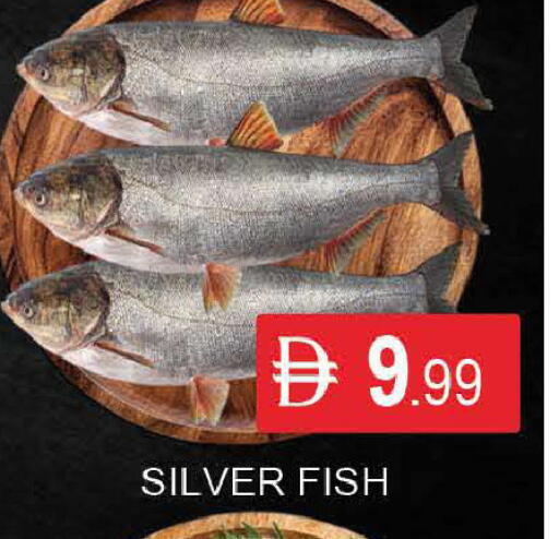 available at المدينة in الإمارات العربية المتحدة , الامارات - دبي