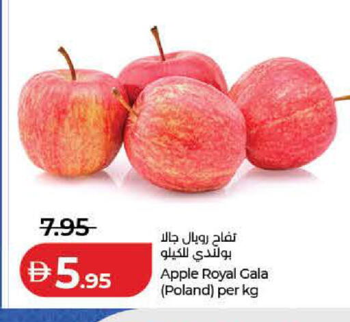 Apple from Poland available at Lulu Hypermarket in UAE - Dubai