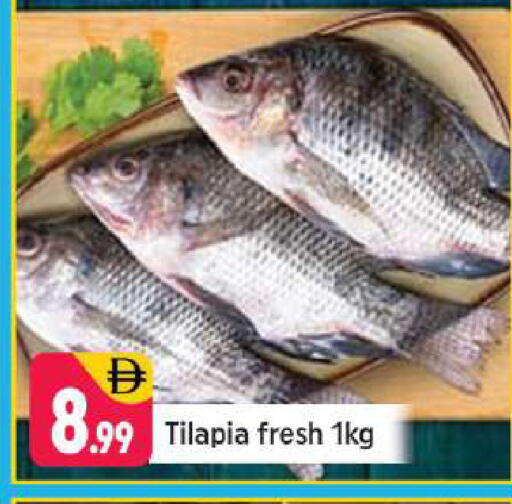 available at شكلان ماركت in الإمارات العربية المتحدة , الامارات - دبي