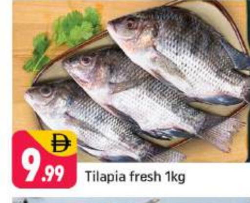 available at شكلان ماركت in الإمارات العربية المتحدة , الامارات - دبي