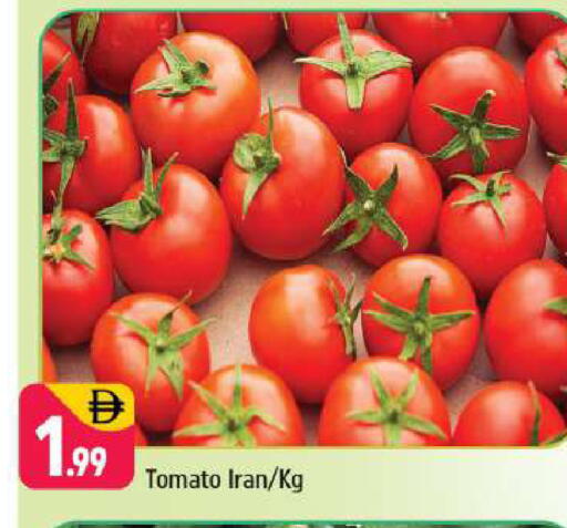 Tomato available at شكلان ماركت in الإمارات العربية المتحدة , الامارات - دبي