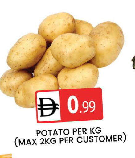 Potato available at المدينة in الإمارات العربية المتحدة , الامارات - دبي