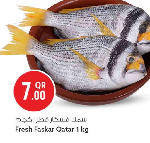 available at سفاري هايبر ماركت in قطر - الدوحة