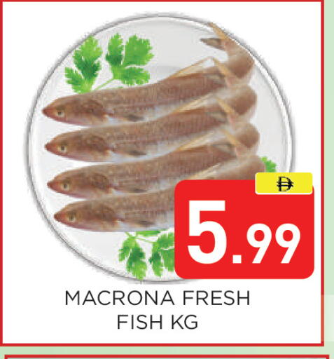 available at عين المدينة هايبرماركت in الإمارات العربية المتحدة , الامارات - الشارقة / عجمان