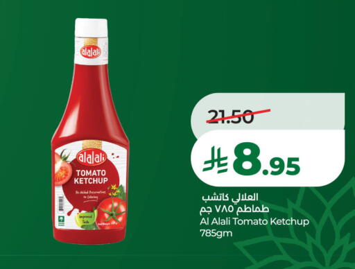 Tomato available at لولو هايبرماركت in مملكة العربية السعودية, السعودية, سعودية - الخبر‎