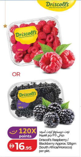 Raspberry Blackberry from South Africa Morocco available at Lulu Hypermarket in UAE - Dubai