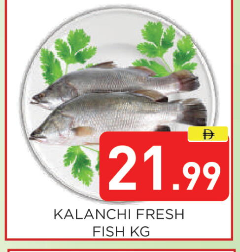 available at عين المدينة هايبرماركت in الإمارات العربية المتحدة , الامارات - الشارقة / عجمان