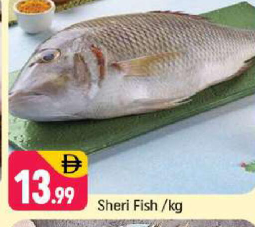 available at شكلان ماركت in الإمارات العربية المتحدة , الامارات - دبي