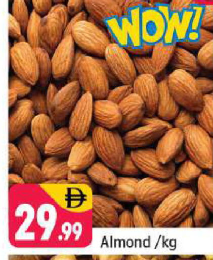 available at شكلان ماركت in الإمارات العربية المتحدة , الامارات - دبي