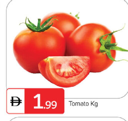 Tomato available at سوق طلال in الإمارات العربية المتحدة , الامارات - الشارقة / عجمان