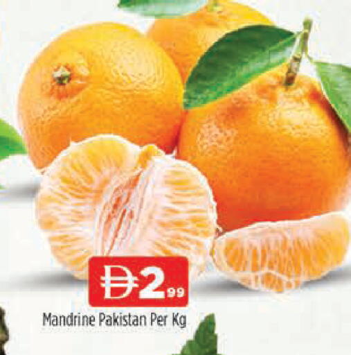 from Pakistan available at المدينة in الإمارات العربية المتحدة , الامارات - دبي