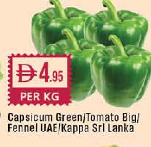 Capsicum Tomato Fennel from Sri Lanka available at West Zone Supermarket in UAE - Dubai