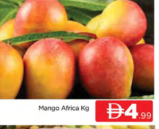 Mango available at المدينة in الإمارات العربية المتحدة , الامارات - دبي