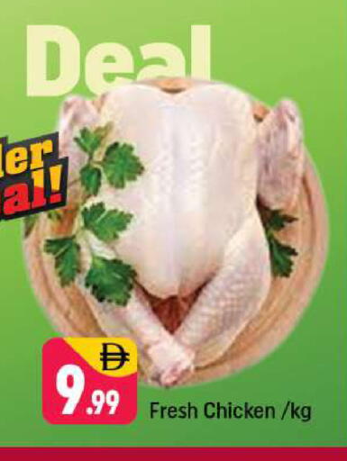 available at شكلان ماركت in الإمارات العربية المتحدة , الامارات - دبي