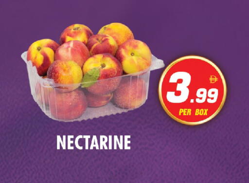 Nectarine available at نايت تو نايت in الإمارات العربية المتحدة , الامارات - الشارقة / عجمان