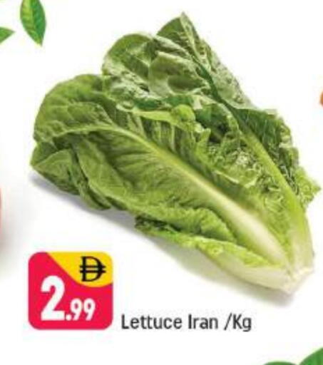Lettuce from Iran available at شكلان ماركت in الإمارات العربية المتحدة , الامارات - دبي