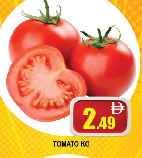 Tomato available at المدينة in الإمارات العربية المتحدة , الامارات - دبي