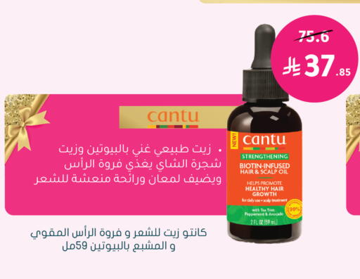 Avocado available at Nahdi in KSA, Saudi Arabia, Saudi - Al Khobar