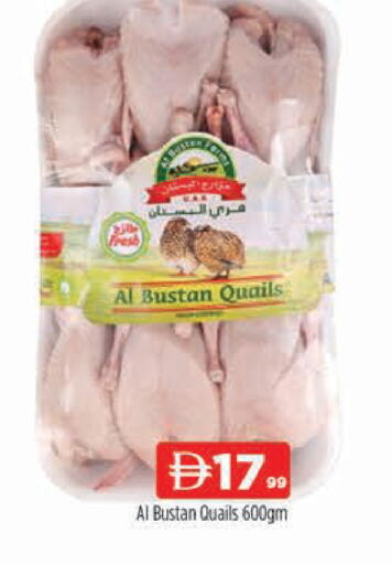 available at المدينة in الإمارات العربية المتحدة , الامارات - دبي