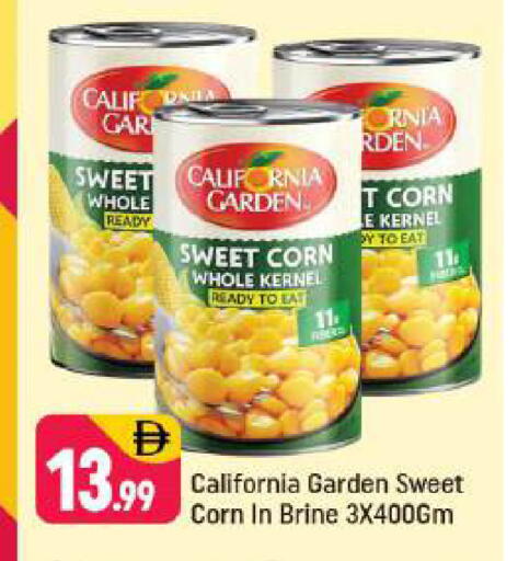 available at شكلان ماركت in الإمارات العربية المتحدة , الامارات - دبي