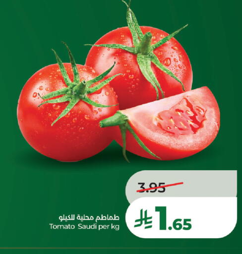 Tomato from Saudi Arabia available at لولو هايبرماركت in مملكة العربية السعودية, السعودية, سعودية - تبوك