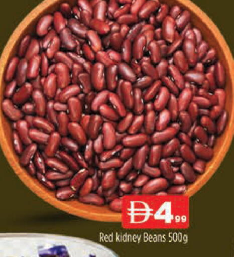 available at المدينة in الإمارات العربية المتحدة , الامارات - دبي