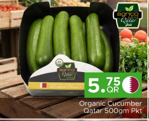 Cucumber from Qatar available at Family Food Centre in Qatar - Al Khor