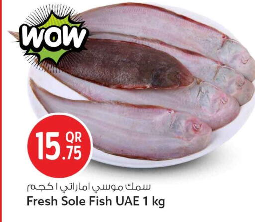 available at سفاري هايبر ماركت in قطر - الدوحة