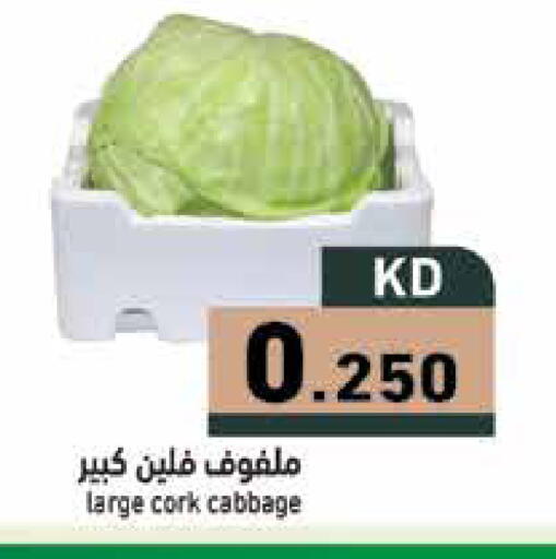 Cabbage available at Ramez in Kuwait - Ahmadi Governorate