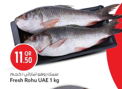 available at سفاري هايبر ماركت in قطر - الدوحة
