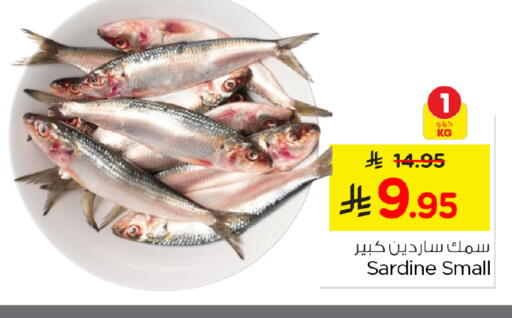 available at نستو in مملكة العربية السعودية, السعودية, سعودية - الخرج