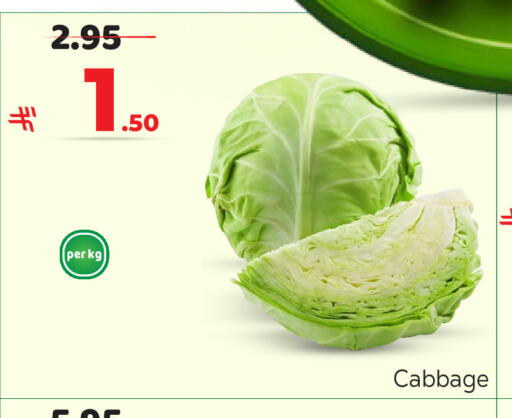 Cabbage available at مكة هايبرماركت in مملكة العربية السعودية, السعودية, سعودية - الرياض