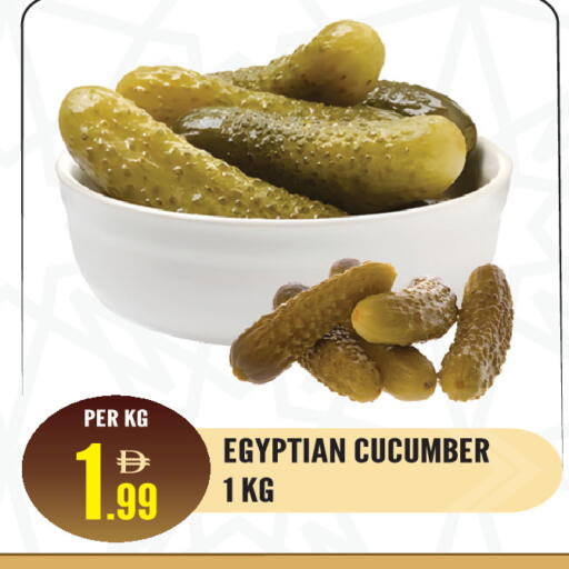 Cucumber from Egypt available at دريم لاند in الإمارات العربية المتحدة , الامارات - الشارقة / عجمان