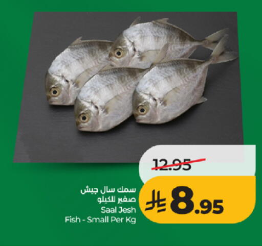 available at LULU Hypermarket in KSA, Saudi Arabia, Saudi - Tabuk