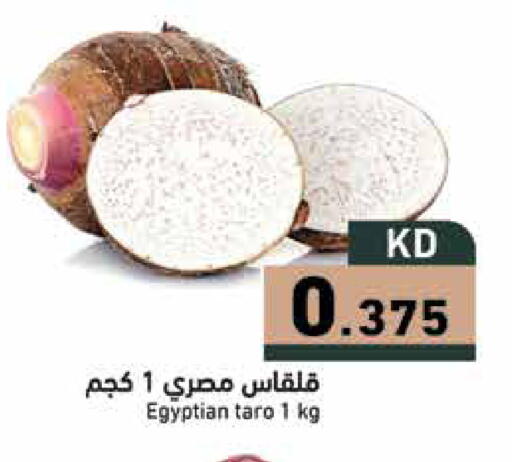 Taro from Egypt available at  رامز in الكويت - محافظة الأحمدي