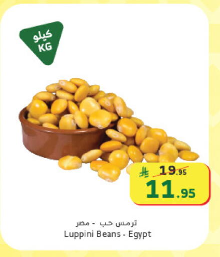 available at الراية in مملكة العربية السعودية, السعودية, سعودية - جدة