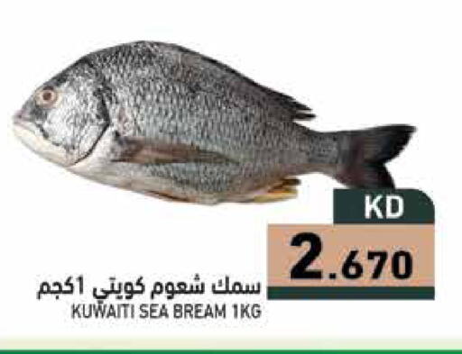 available at Ramez in Kuwait - Ahmadi Governorate